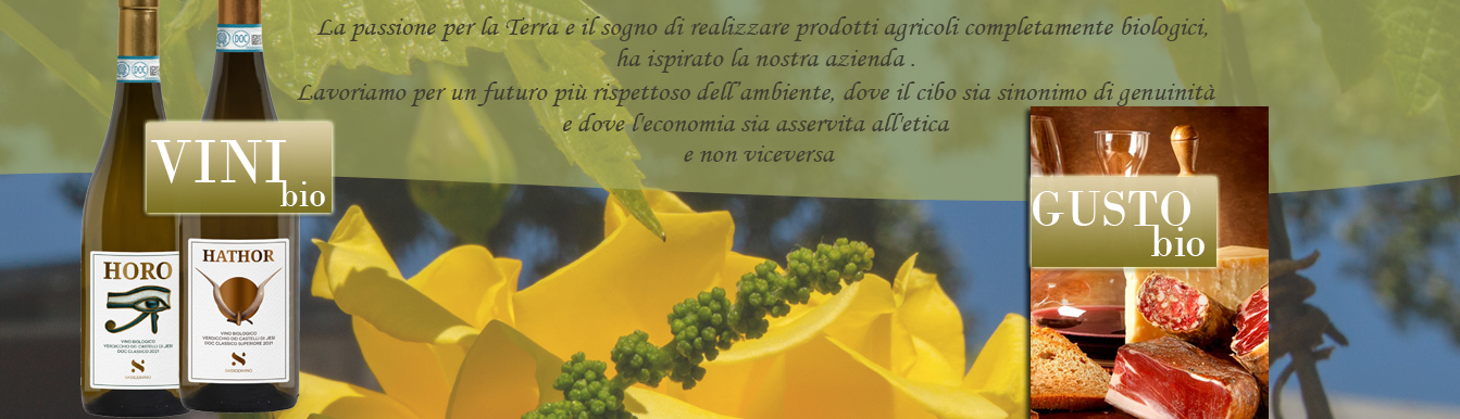 Visita i nostri prodotti